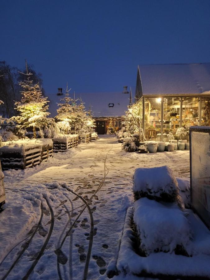 Det Bla Gaestehus เฟนู ภายนอก รูปภาพ